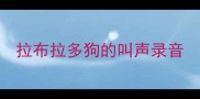 拉布拉多狗的叫声录音
