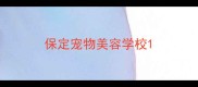 保定宠物美容学校