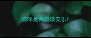 猫咪是否应该安乐
