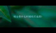 哈士奇什么时候吃打虫药