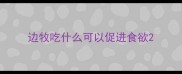 边牧吃什么可以促进食欲