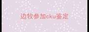 边牧参加cku鉴定
