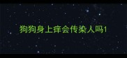 狗狗身上痒会传染人吗