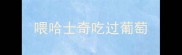 喂哈士奇吃过葡萄