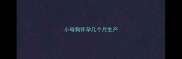 小母狗怀孕几个月生产