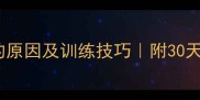 泰迪犬聪明的原因及训练技巧附30天训练计划