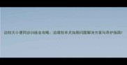 边牧大小便同步训练全攻略边境牧羊犬如厕问题解决方案与养护指南