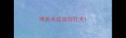 博美来疫苗伪狂犬
