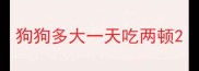 狗狗多大一天吃两顿