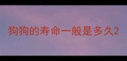 狗狗的寿命一般是多久
