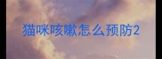 猫咪咳嗽怎么预防