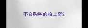 不会狗叫的哈士奇