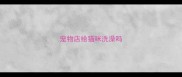 宠物店给猫咪洗澡吗