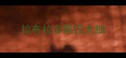 拉布拉多尾巴太细