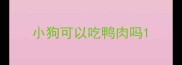 小狗可以吃鸭肉吗