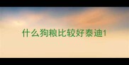 什么狗粮比较好泰迪