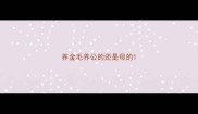 养金毛养公的还是母的