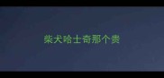 柴犬哈士奇那个贵