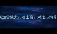 阿拉斯加雪橇犬VS哈士奇对比与饲养指南
