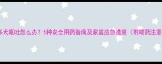 拉布拉多犬呕吐怎么办5种安全用药指南及家庭应急措施附喂药注意事项