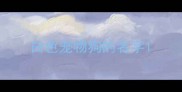 白色宠物狗的名字