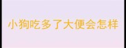 小狗吃多了大便会怎样
