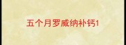 五个月罗威纳补钙