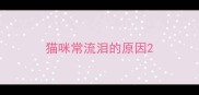 猫咪常流泪的原因