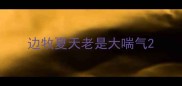 边牧夏天老是大喘气