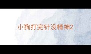 小狗打完针没精神