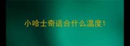 小哈士奇适合什么温度