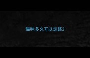 猫咪多久可以走路