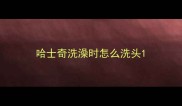 哈士奇洗澡时怎么洗头