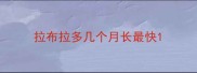 拉布拉多几个月长最快