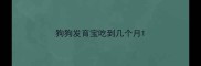 狗狗发育宝吃到几个月
