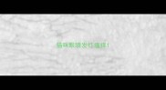 猫咪眼睛发红瘙痒