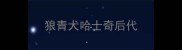 狼青犬哈士奇后代
