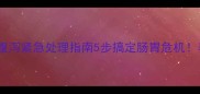 拉布拉多老年腹泻紧急处理指南5步搞定肠胃危机养宠必看干货