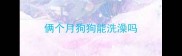 俩个月狗狗能洗澡吗