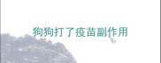 狗狗打了疫苗副作用