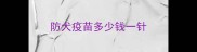 防犬疫苗多少钱一针