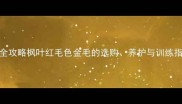 火焰色金毛幼犬全攻略枫叶红毛色金毛的选购养护与训练指南附保姆级教程