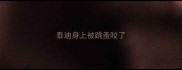 泰迪身上被跳蚤咬了