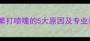 泰迪犬频繁打喷嚏的5大原因及专业护理指南