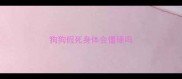狗狗假死身体会僵硬吗