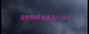 宠物狗驱虫多久一次
