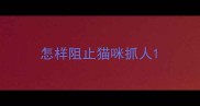 怎样阻止猫咪抓人