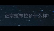 正宗拉布拉多什么样