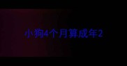 小狗4个月算成年