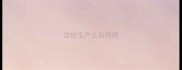 边牧生产之后照顾